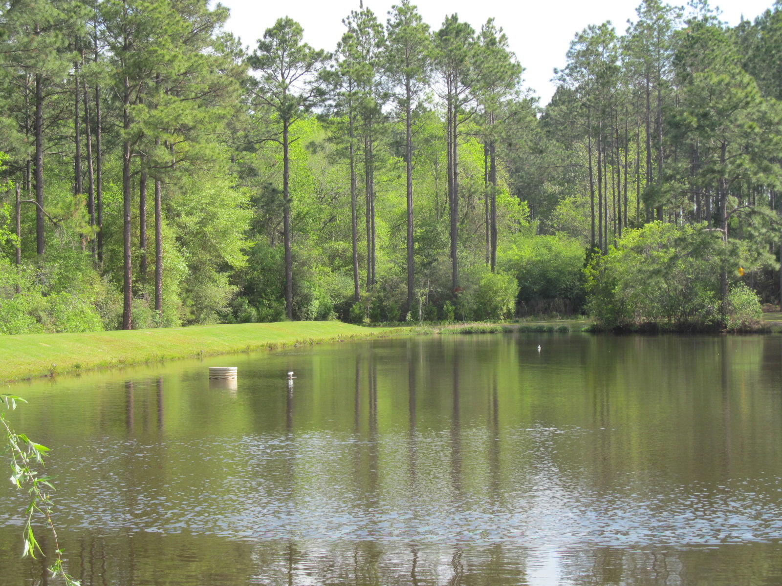 20-ac Fox Hill Road DeFuniak Springs, FL 32433 - Photo 3 of 12 Great fishing