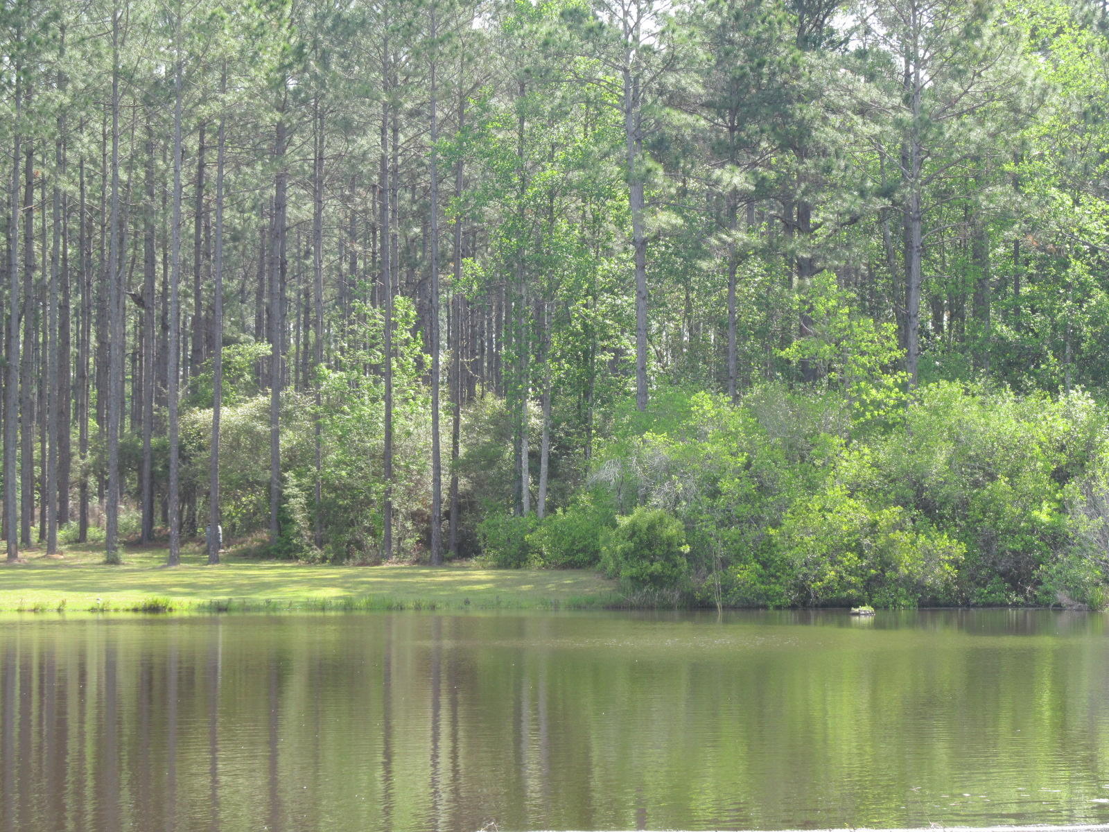 20-ac Fox Hill Road DeFuniak Springs, FL 32433 - Photo 4 of 12 Private