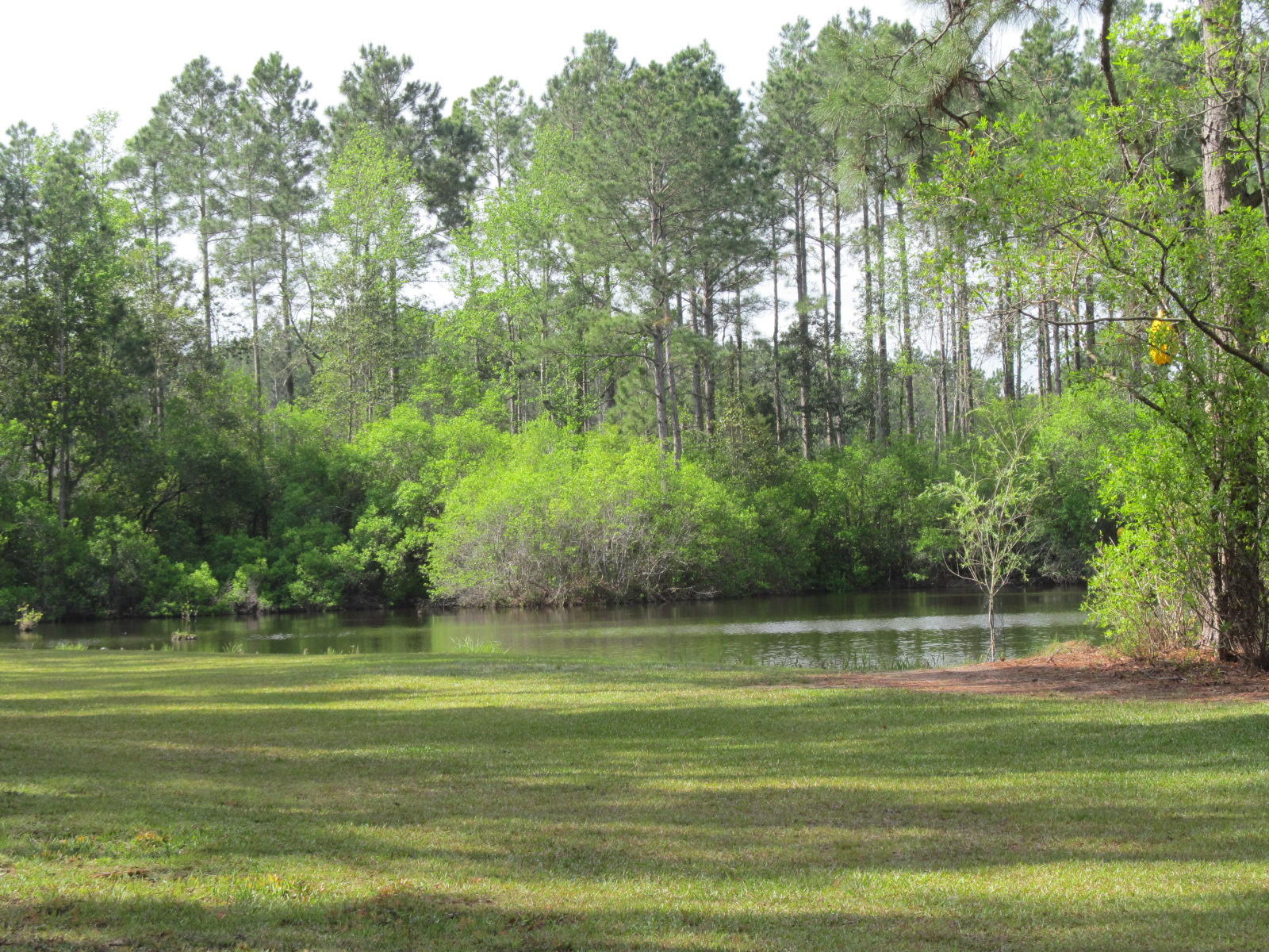 20-ac Fox Hill Road DeFuniak Springs, FL 32433 - Photo 6 of 12 Well landscaped