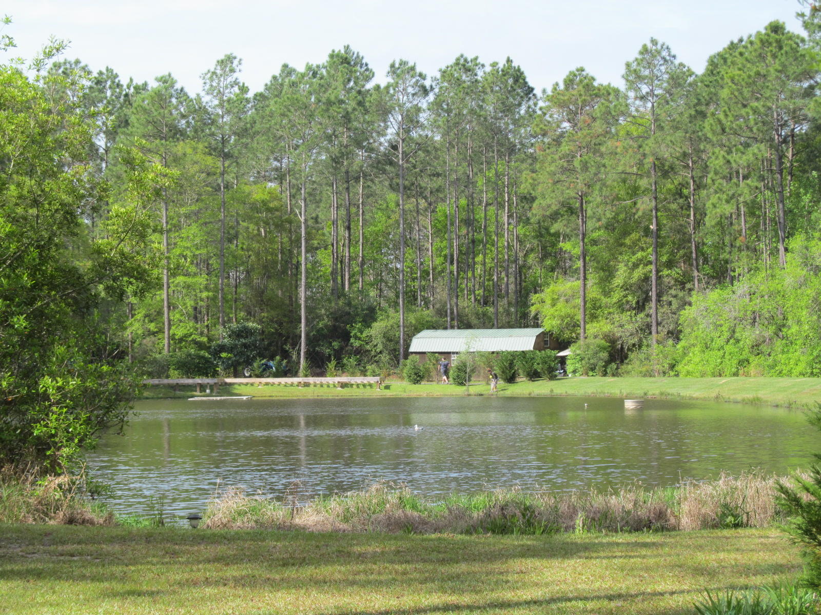 20-ac Fox Hill Road DeFuniak Springs, FL 32433 - Photo 7 of 12 Peaceful