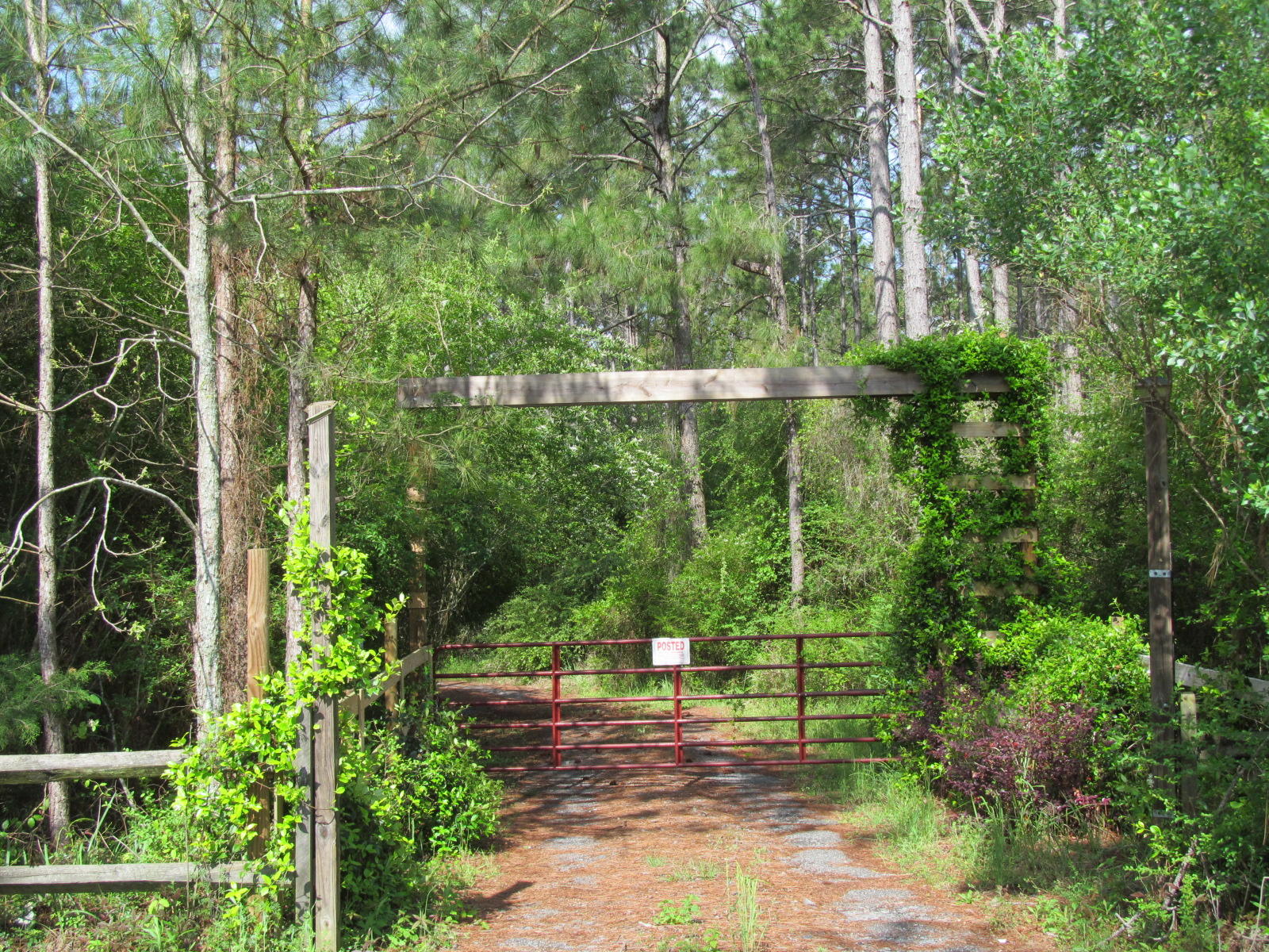 20-ac Fox Hill Road DeFuniak Springs, FL 32433 - Photo 8 of 12 Electric gate