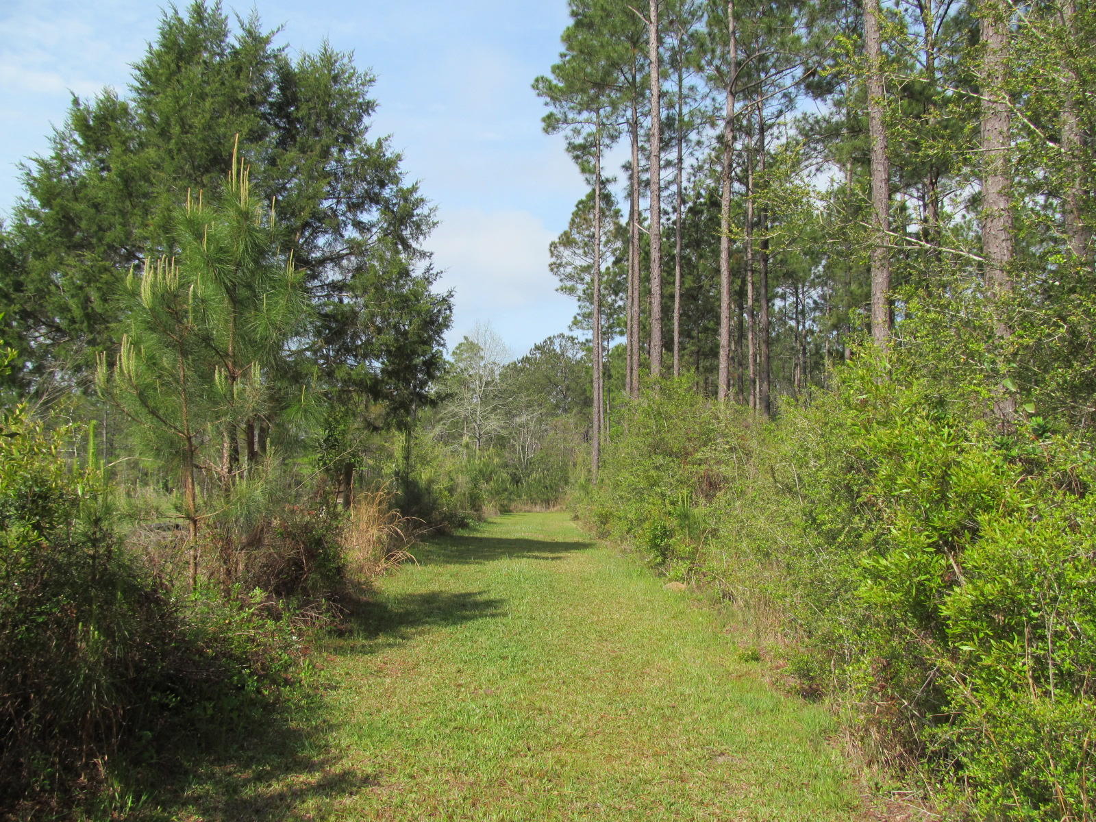 20-ac Fox Hill Road DeFuniak Springs, FL 32433 - Photo 10 of 12 User ready