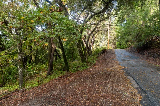 a big yard with lots of green space and trees