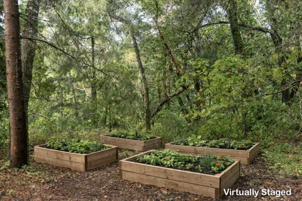a view of a garden filled with large trees