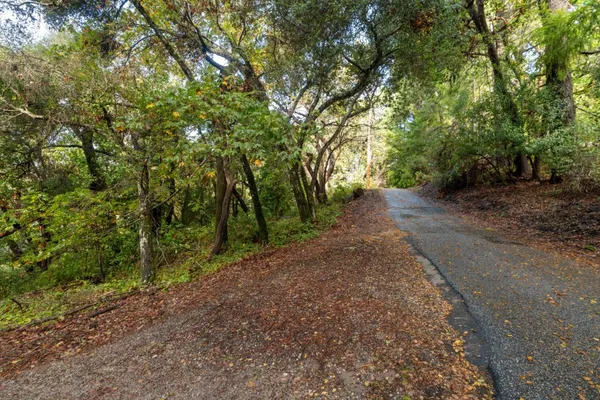 a view of a dirt road with trees in the background