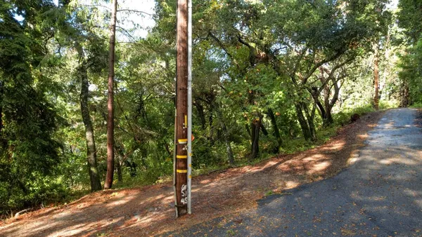 a view of a forest