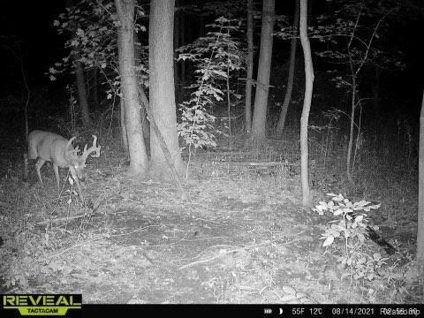 0 Sam Ellsworth Ridge Roscommon, MI 48653 - Photo 19 of 20 Gallery Image 19