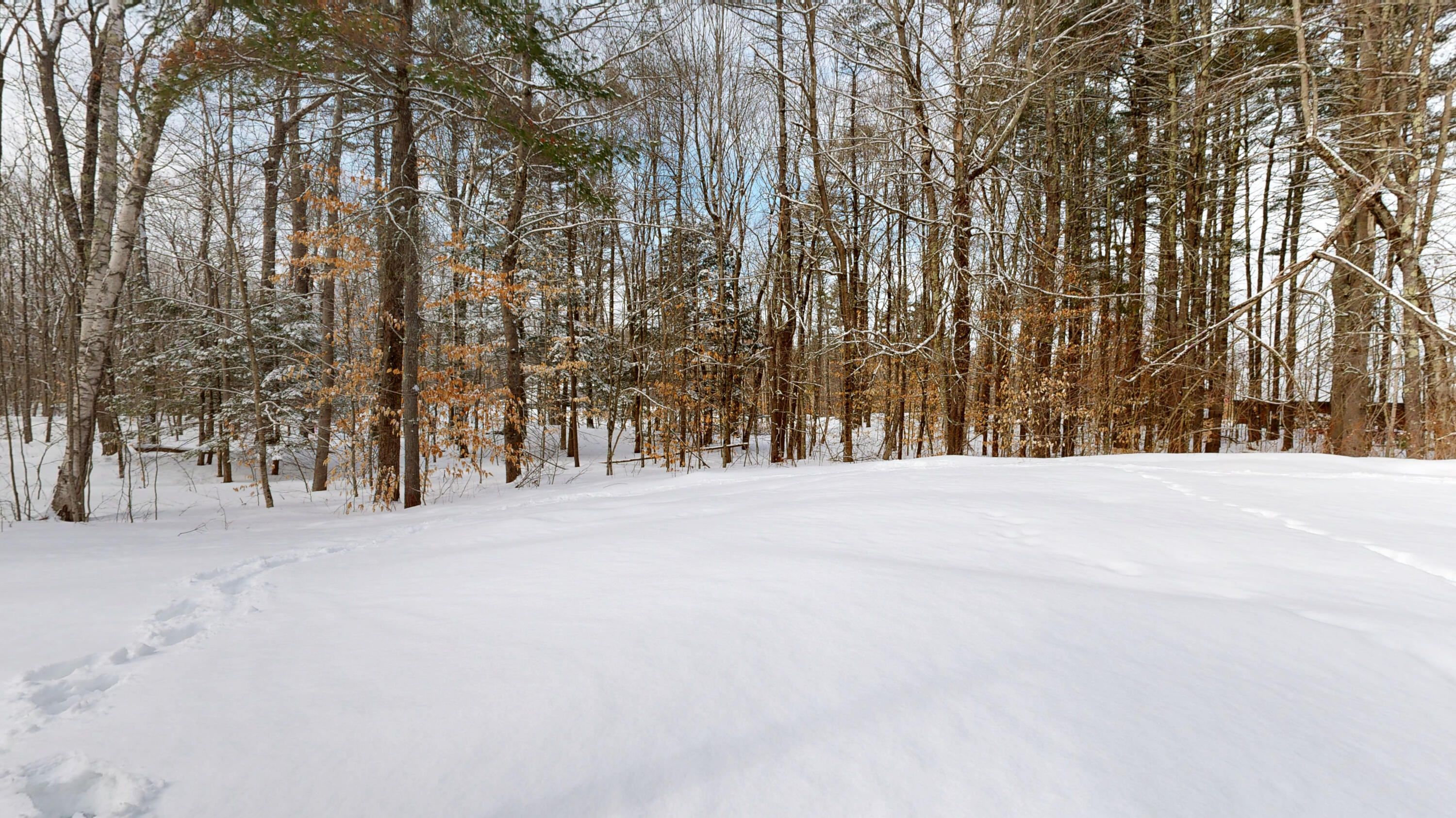 167 Poland Corner Road Poland, ME 04274 - Photo 43 of 46 03092026_092825