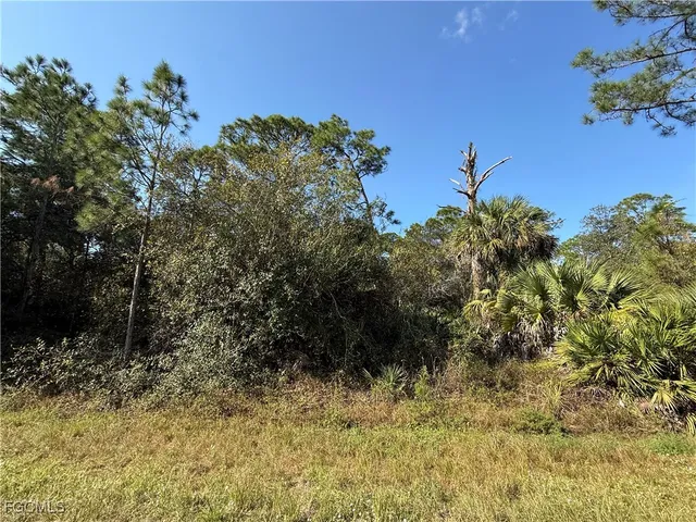 a view of a garden with a tree