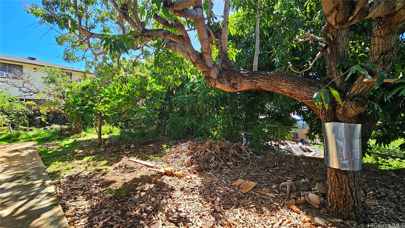 3237 Olu Street Honolulu, HI 96816 - Photo 11 of 21