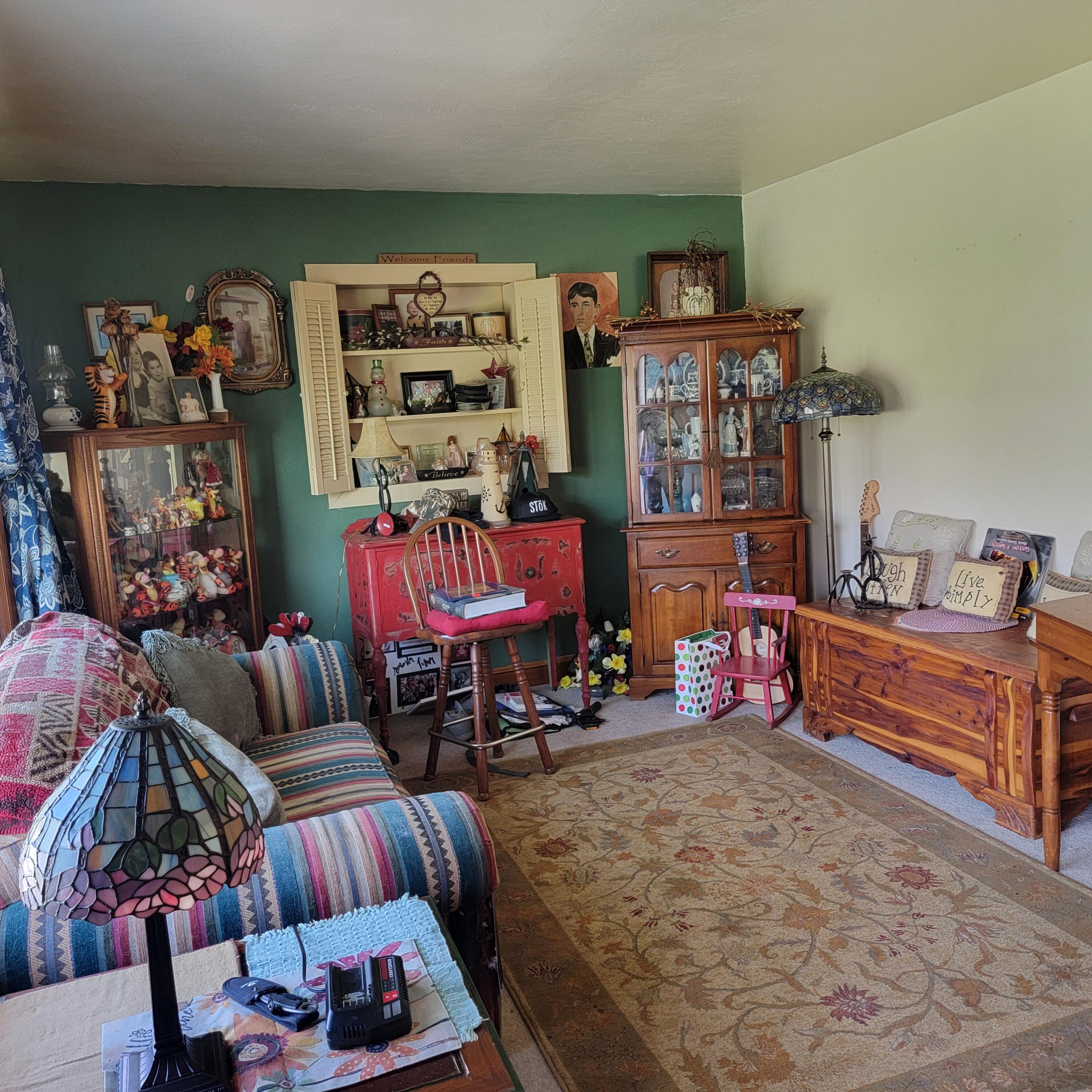145 Whitten Street Rocky Mount, VA 24151 - Photo 3 of 19 a living room with furniture and a rug