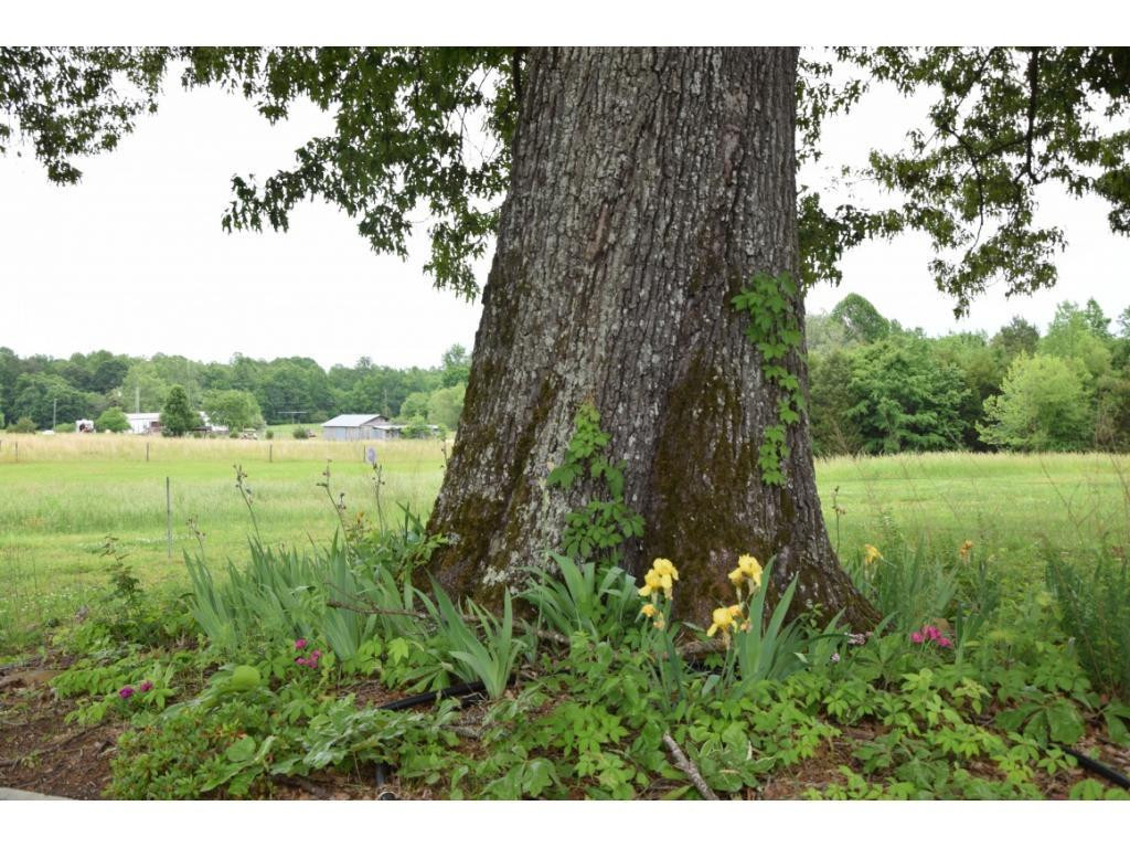 2507 Lynch Store Road Mebane, NC 27302 - Photo 23 of 24 Gallery Image 23