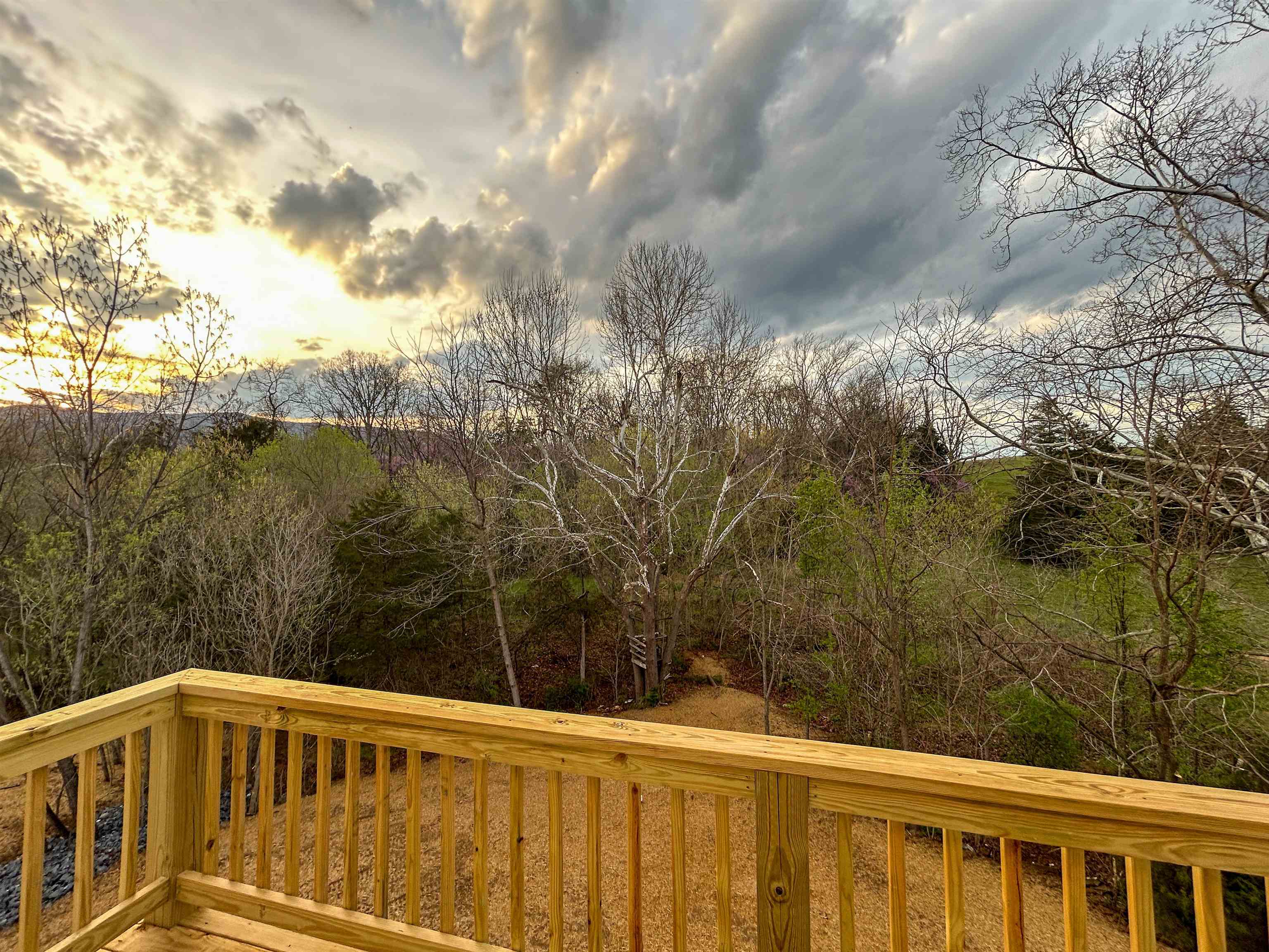 244 Locustdale Loop Shenandoah, VA 22849 - Photo 53 of 74