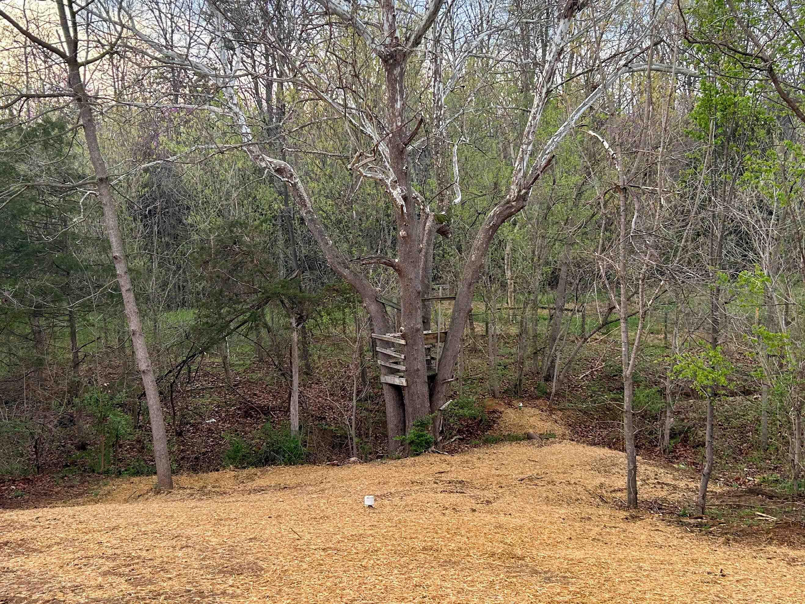 244 Locustdale Loop Shenandoah, VA 22849 - Photo 69 of 74