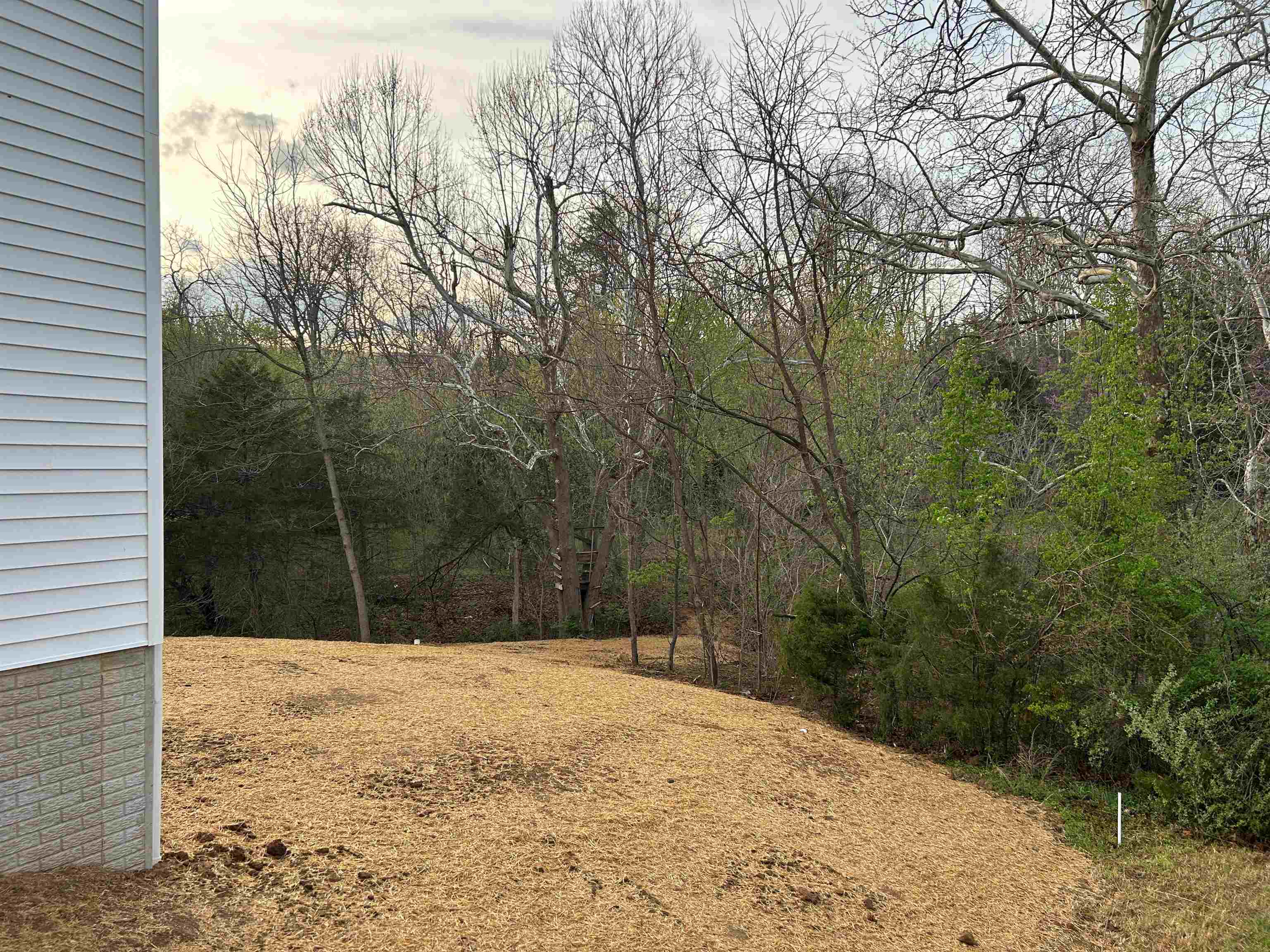 244 Locustdale Loop Shenandoah, VA 22849 - Photo 71 of 74