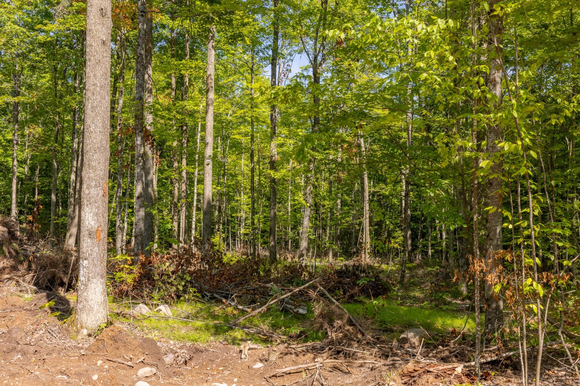 40-acres Ison Road Crandon, WI 54520 - Photo 23 of 31 Gallery Image 23