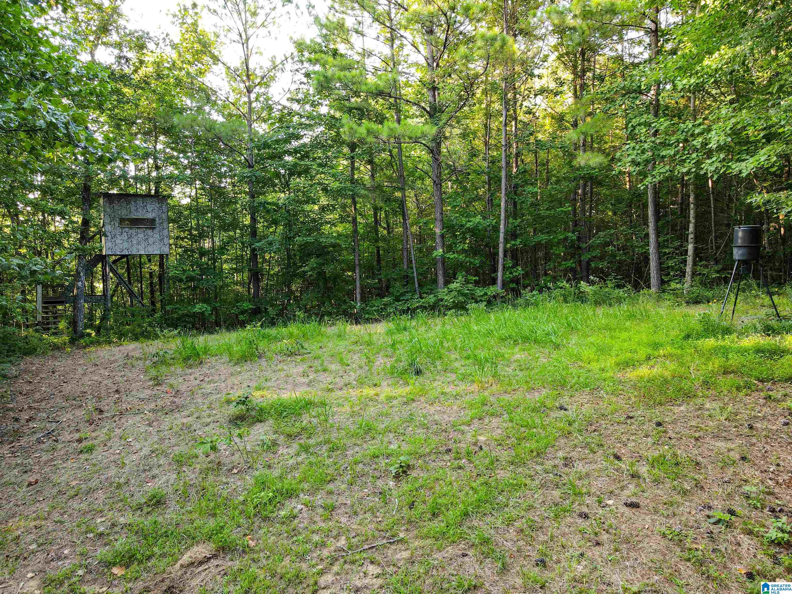 5997 Sipsey Road Empire, AL 35063 - Photo 40 of 86 Gallery Image 40