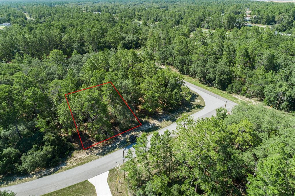 153 Southwest 153rd Ln Road Ocala, FL 34473 - Photo 1 of 1 a view of a garden with a pathway