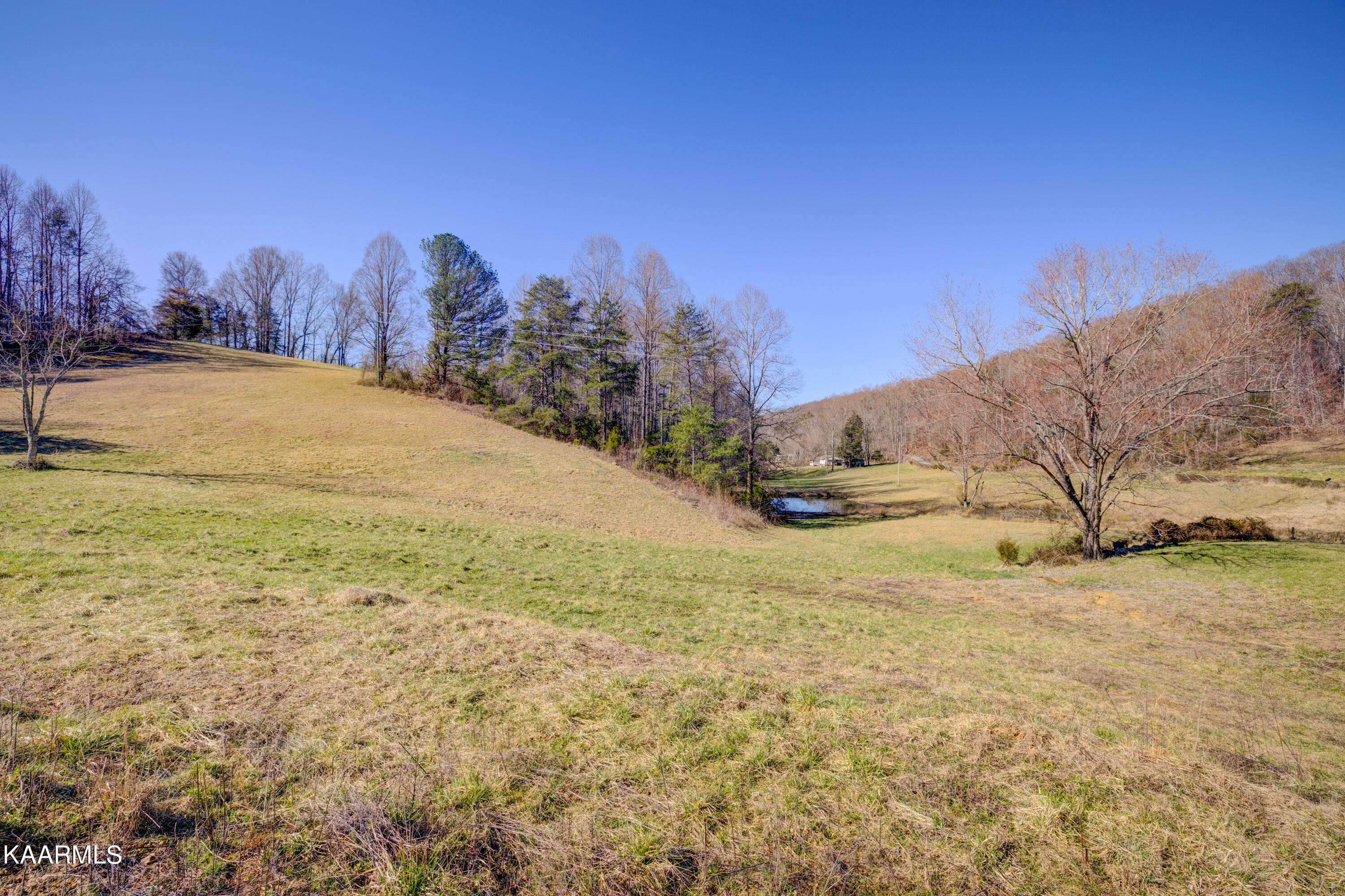 2336 Ned Clark Road Bean Station, TN 37708 - Photo 25 of 31 Positive Perceptions-27