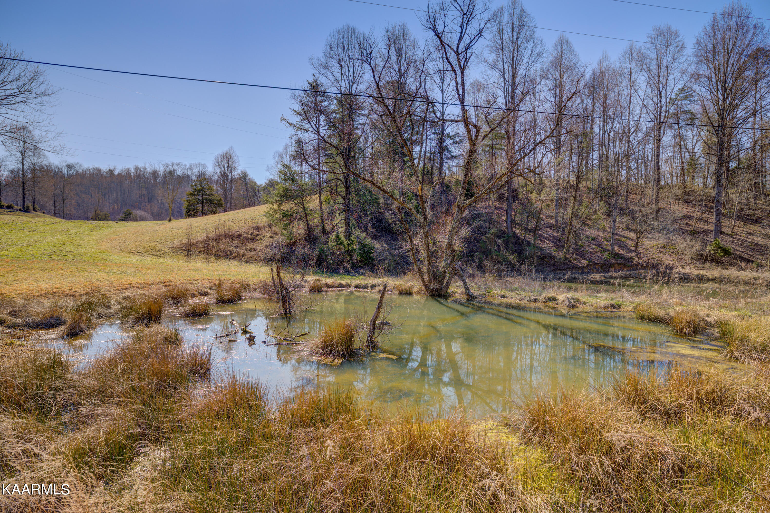 2336 Ned Clark Road Bean Station, TN 37708 - Photo 27 of 31 Positive Perceptions-29