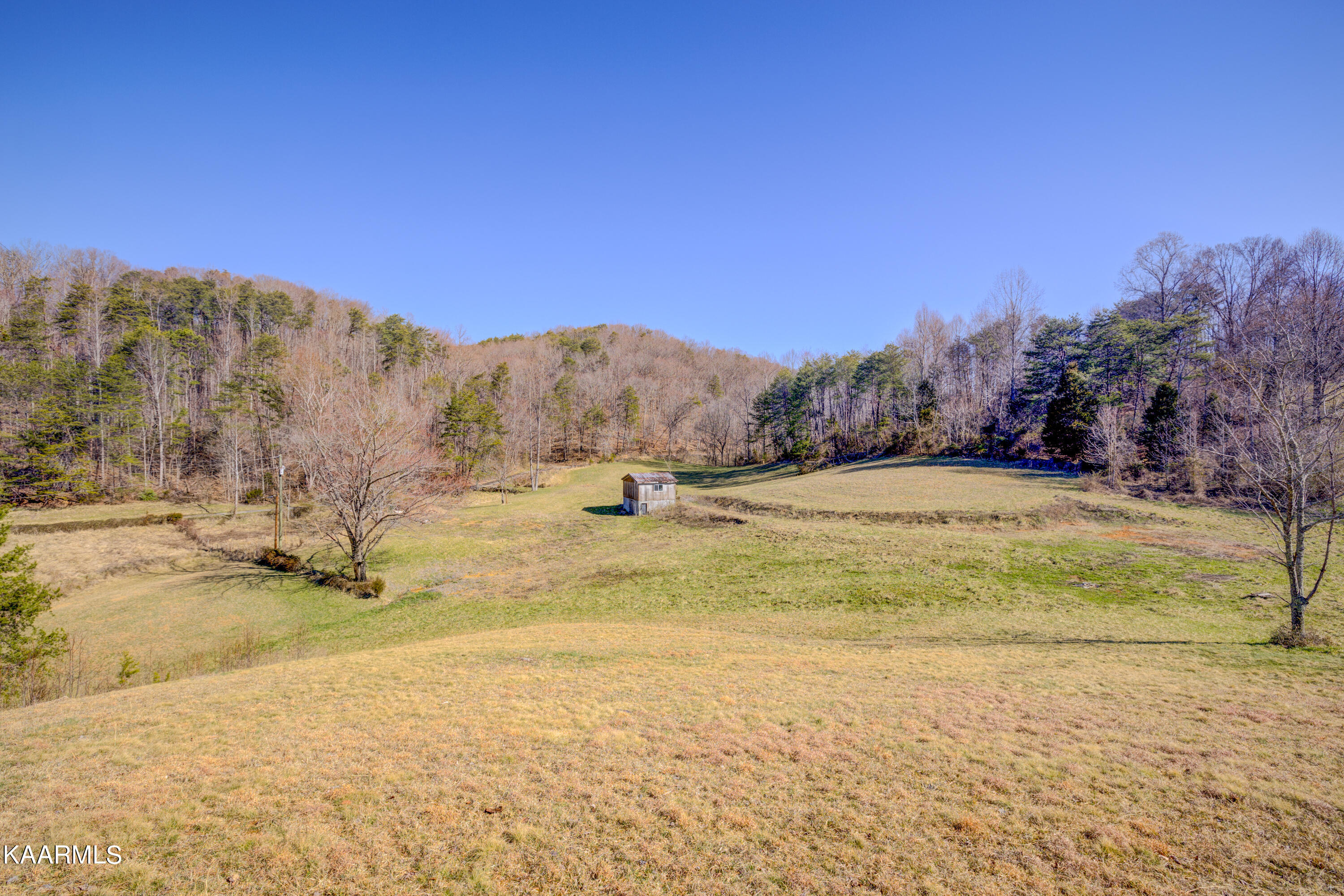 2336 Ned Clark Road Bean Station, TN 37708 - Photo 5 of 31 Positive Perceptions-3