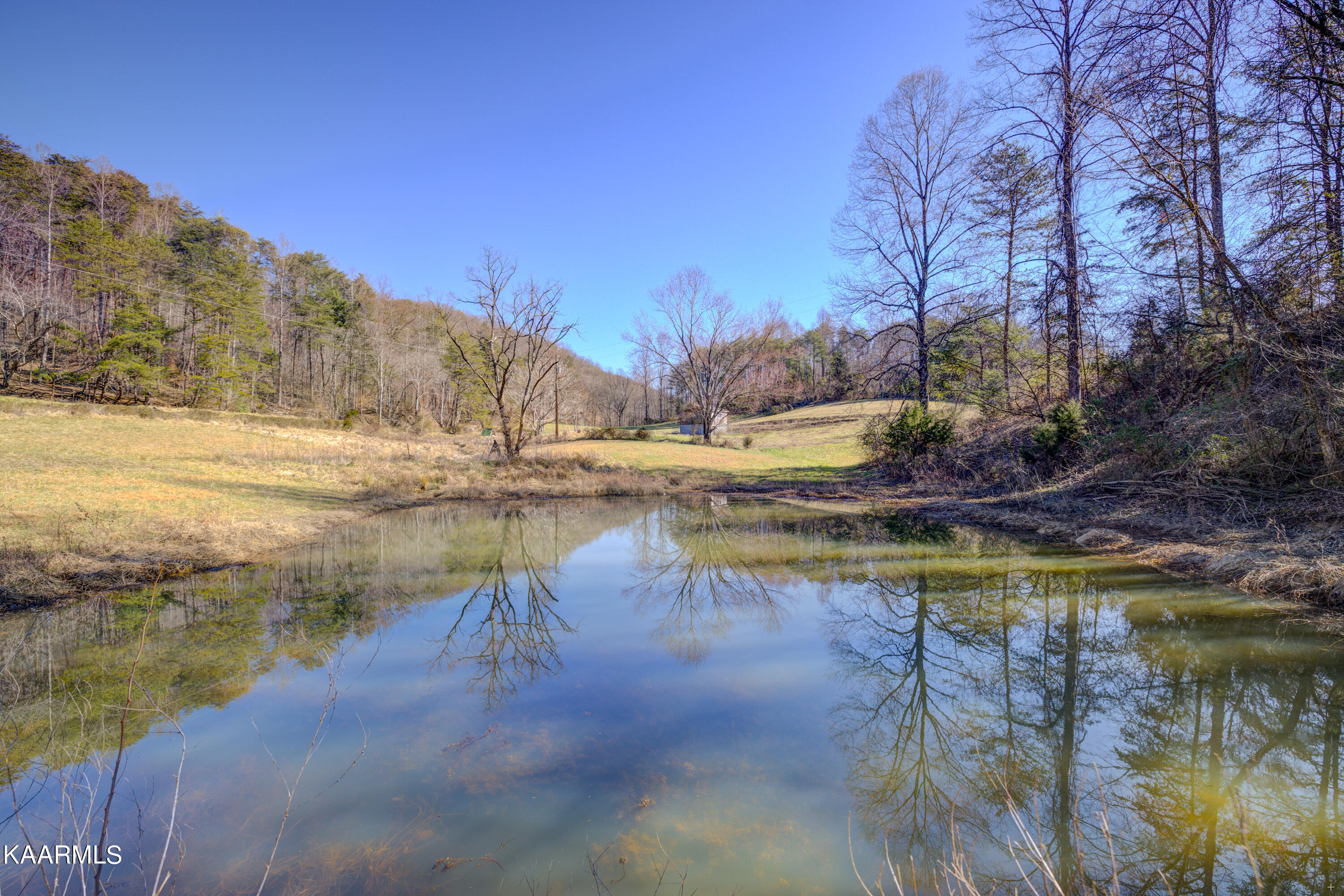 2336 Ned Clark Road Bean Station, TN 37708 - Photo 6 of 31 Positive Perceptions-4