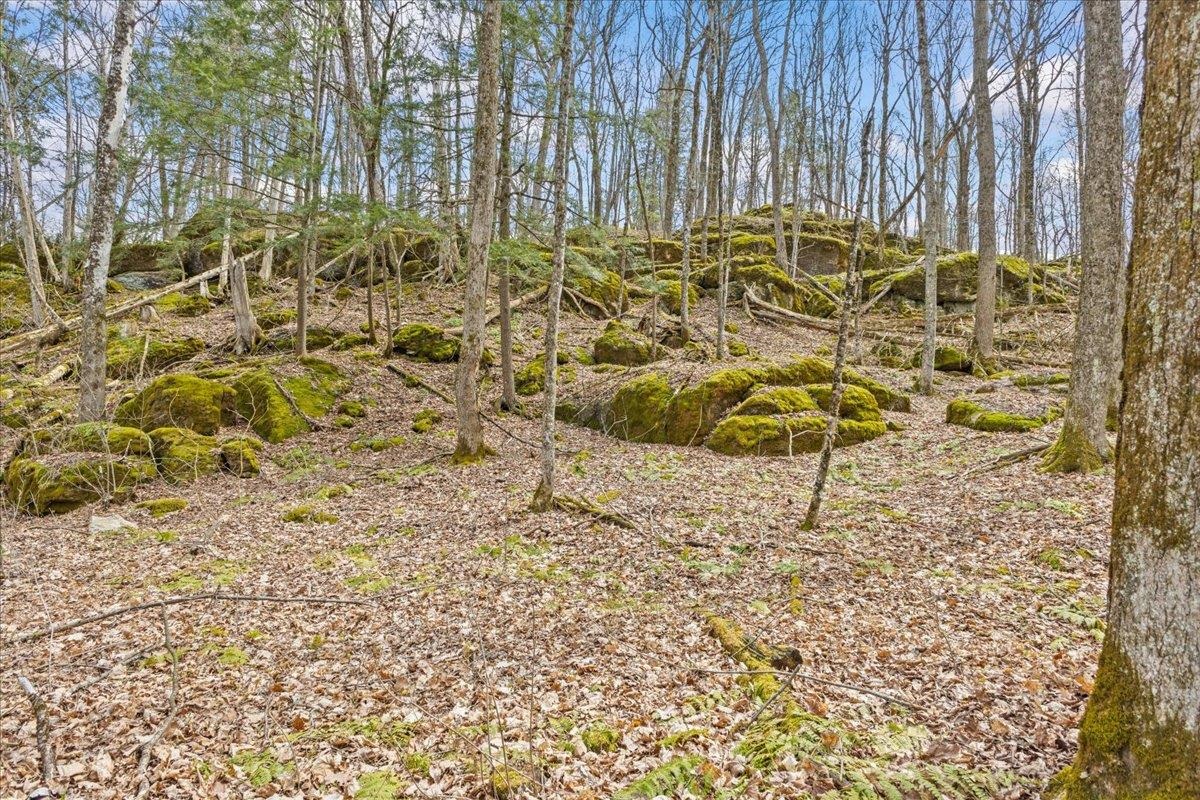 0 Bullock Road, Unit LOT #1 Milton, VT 05468 - Photo 13 of 49 Gallery Image 13