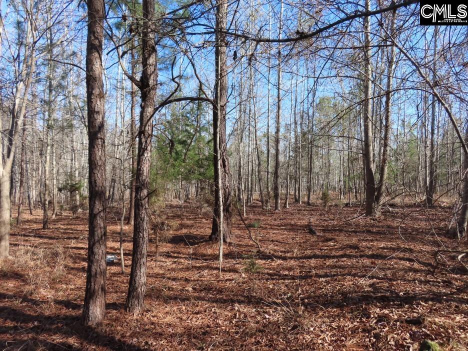 637 Cook Road Ridgeway, SC 29130 - Photo 50 of 51