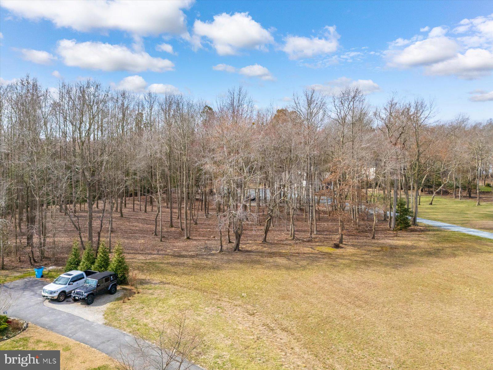 10168 Rabbit Ridge Lane Bishopville, MD 21813 - Photo 4 of 28 Plenty of room for your dream estate