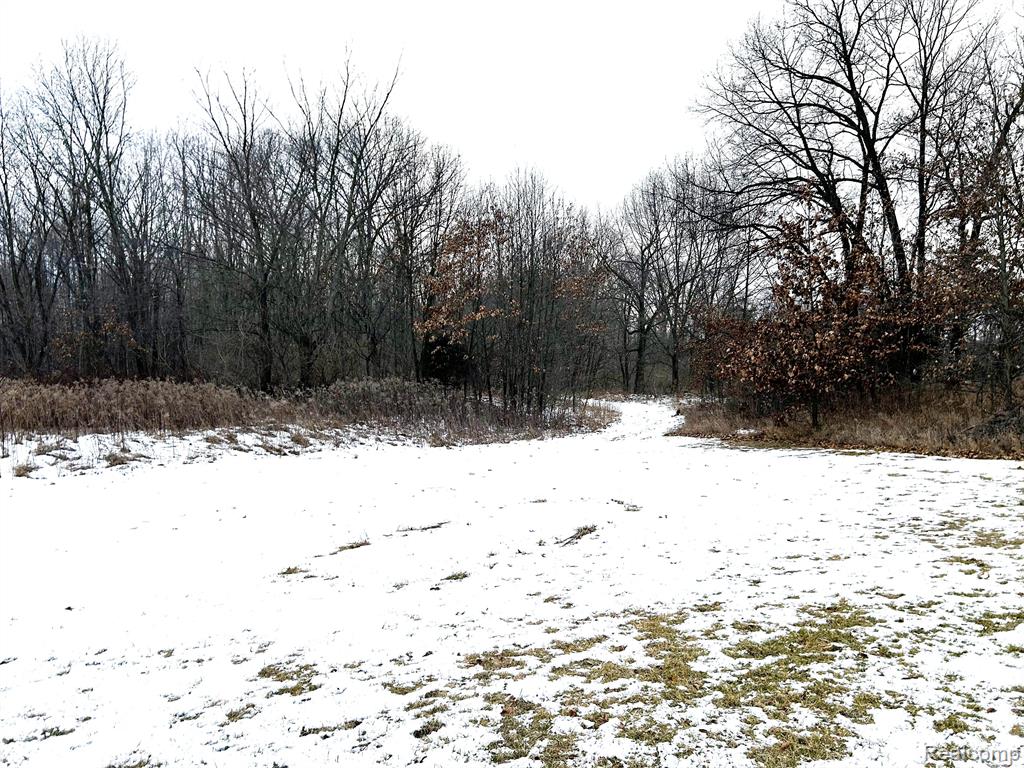 1726 Peavy Road Howell, MI 48843 - Photo 31 of 43