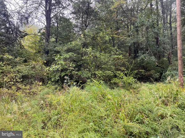 $35,000 | Lot 20 Chrystal Road, Colonial Beach, VA 22443