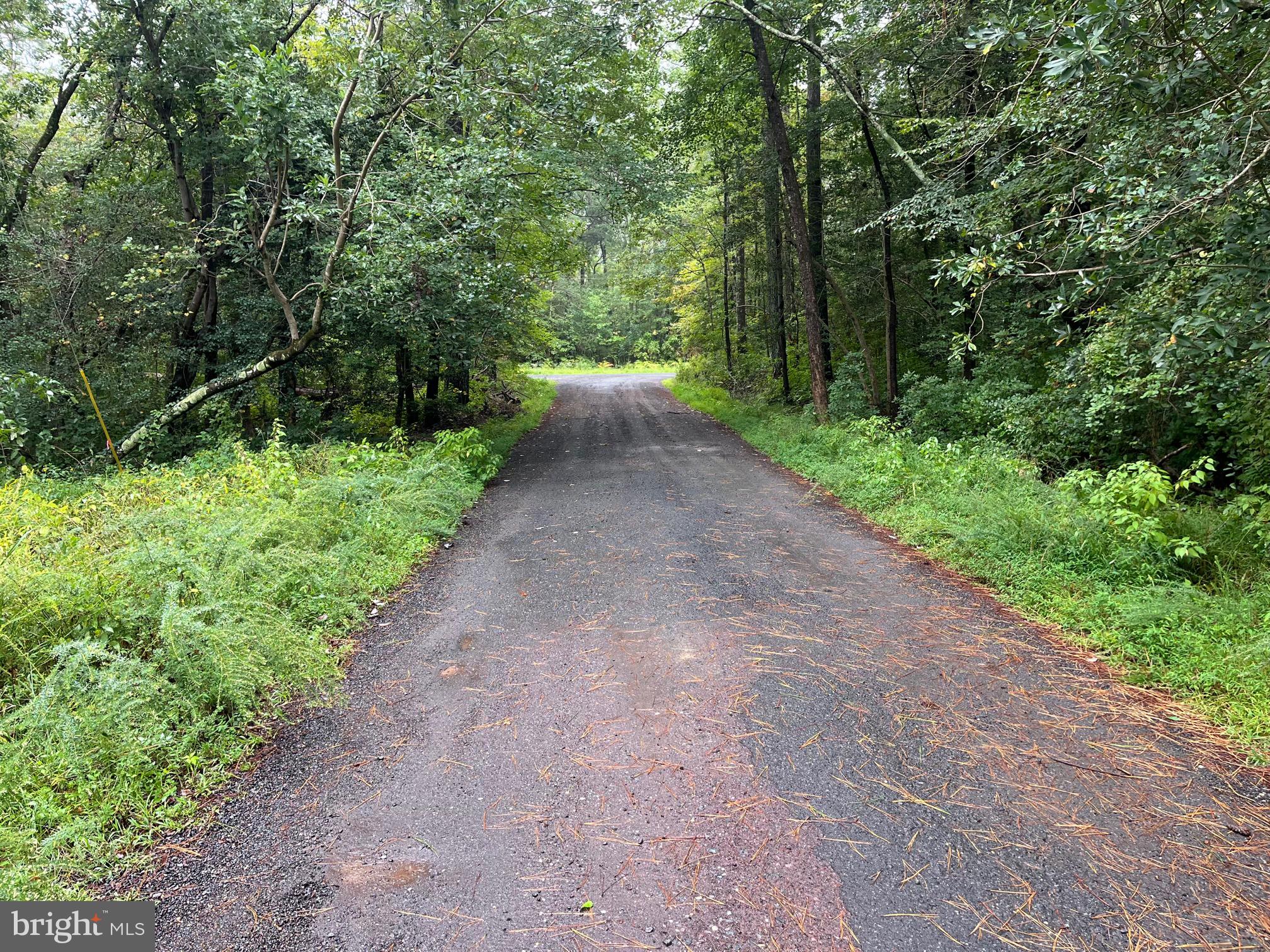 Lot 20 Chrystal Road Colonial Beach, VA 22443 - Photo 2 of 4 a view of a road with plants and a yard