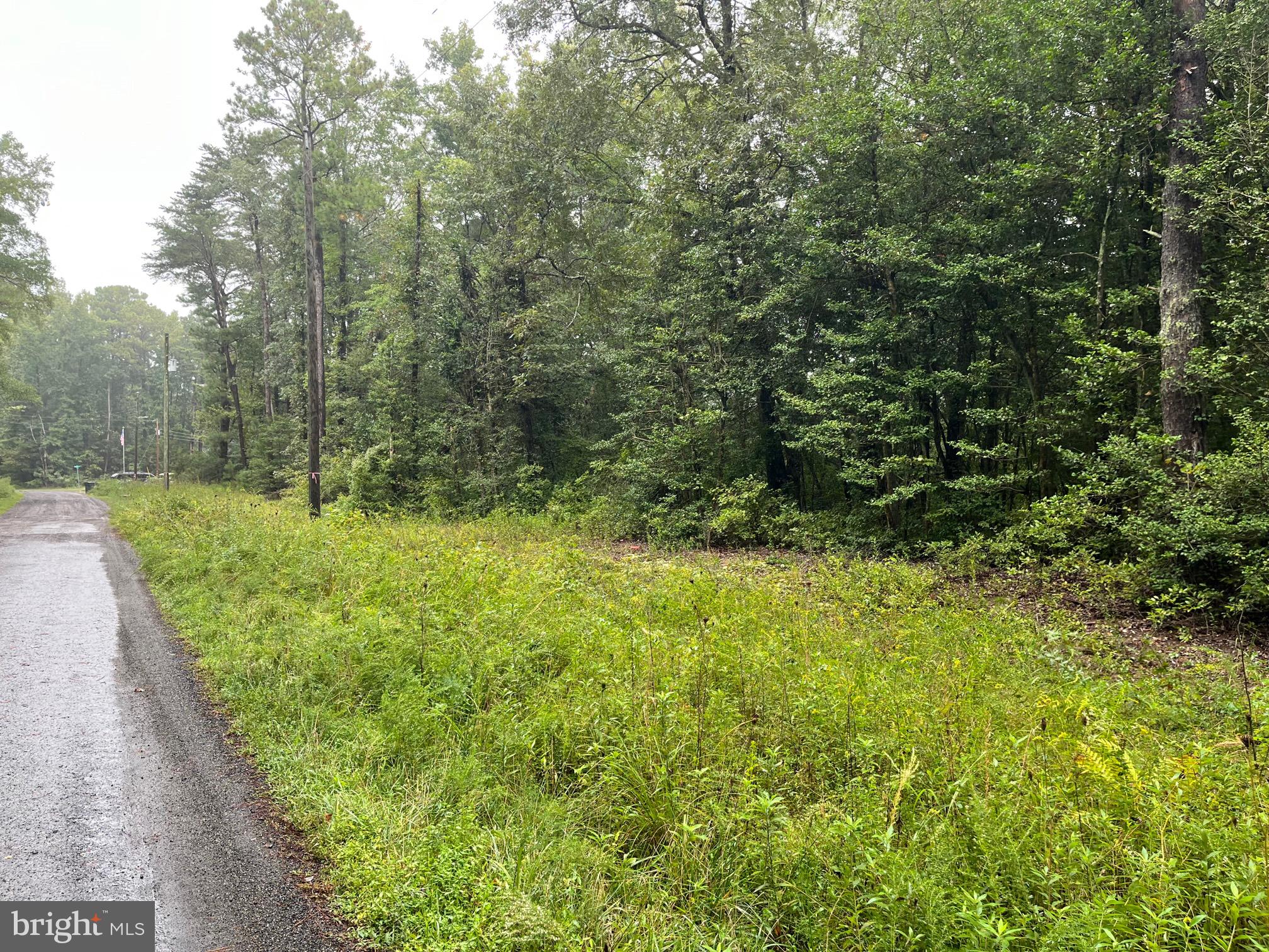 Lot 20 Chrystal Road Colonial Beach, VA 22443 - Photo 3 of 4 a large yard with lots of green space and trees