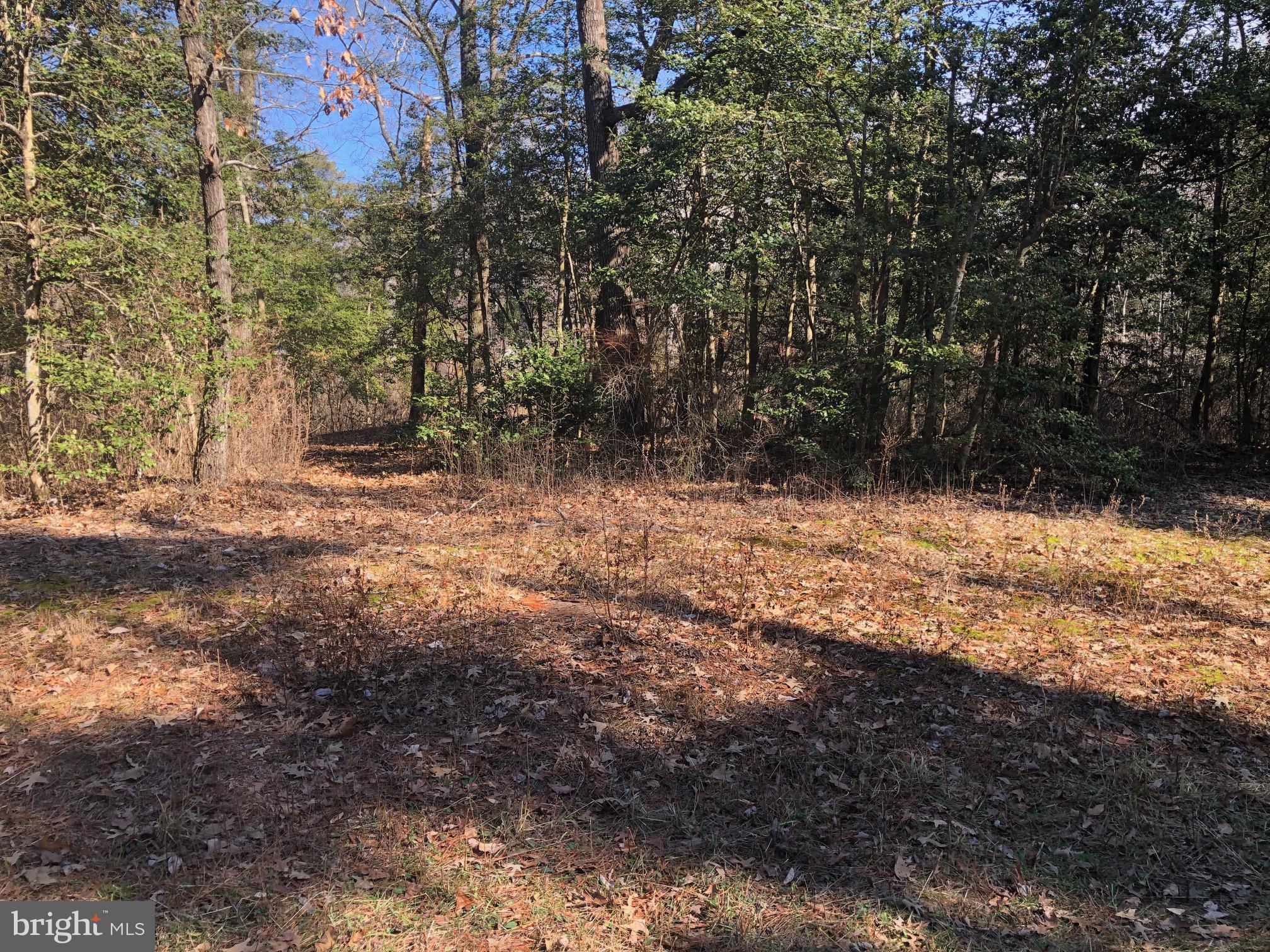 Lot 20 Chrystal Road Colonial Beach, VA 22443 - Photo 5 of 8 a view of yard covered with snow