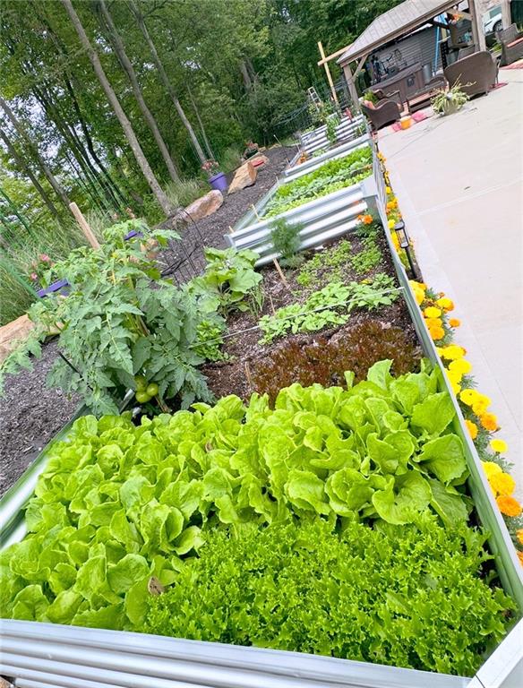 257 Stoup Road Mars, PA 16046 - Photo 47 of 50 a view of a yard with plants