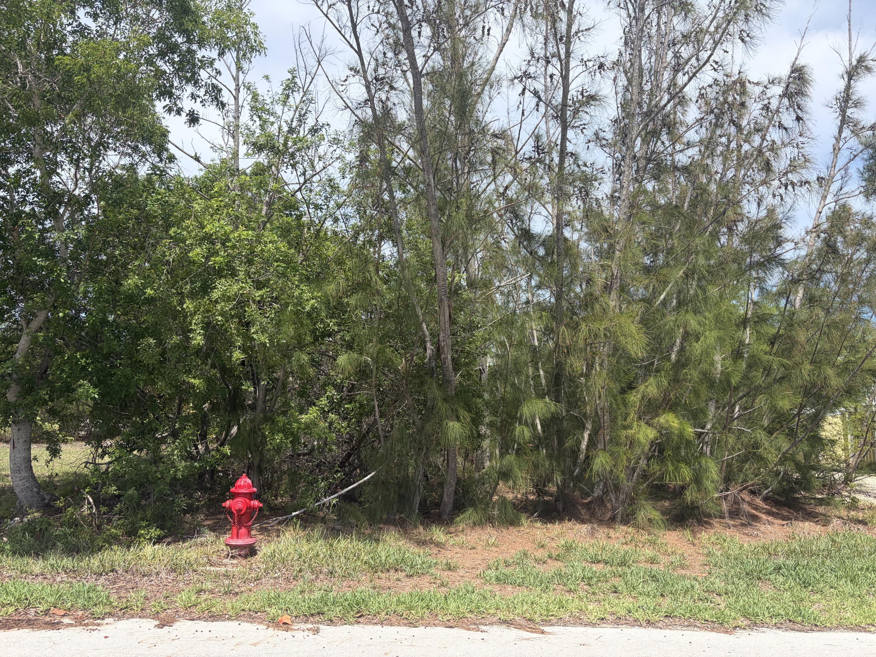 0 Lobstertail Road Big Pine Key, FL 33043 - Photo 2 of 2 Front view