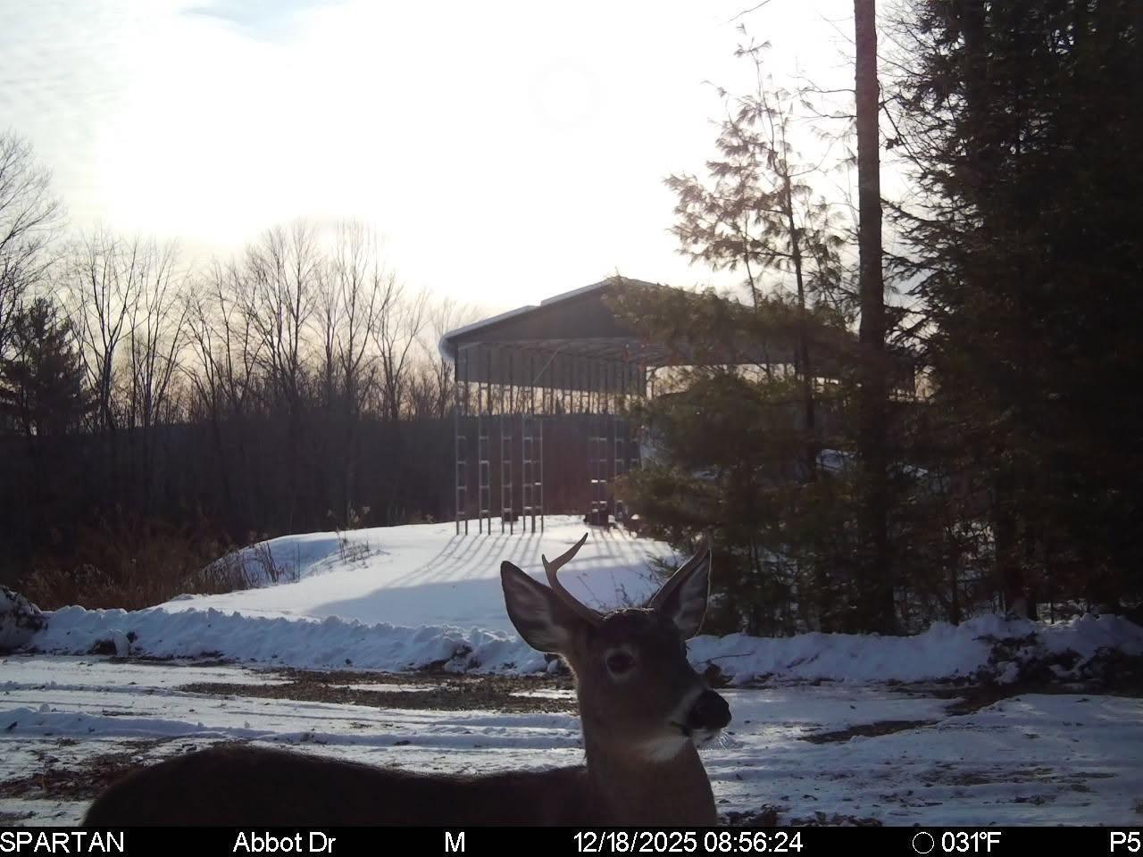 22 Back Parkman Road Abbot, ME 04406 - Photo 24 of 38
