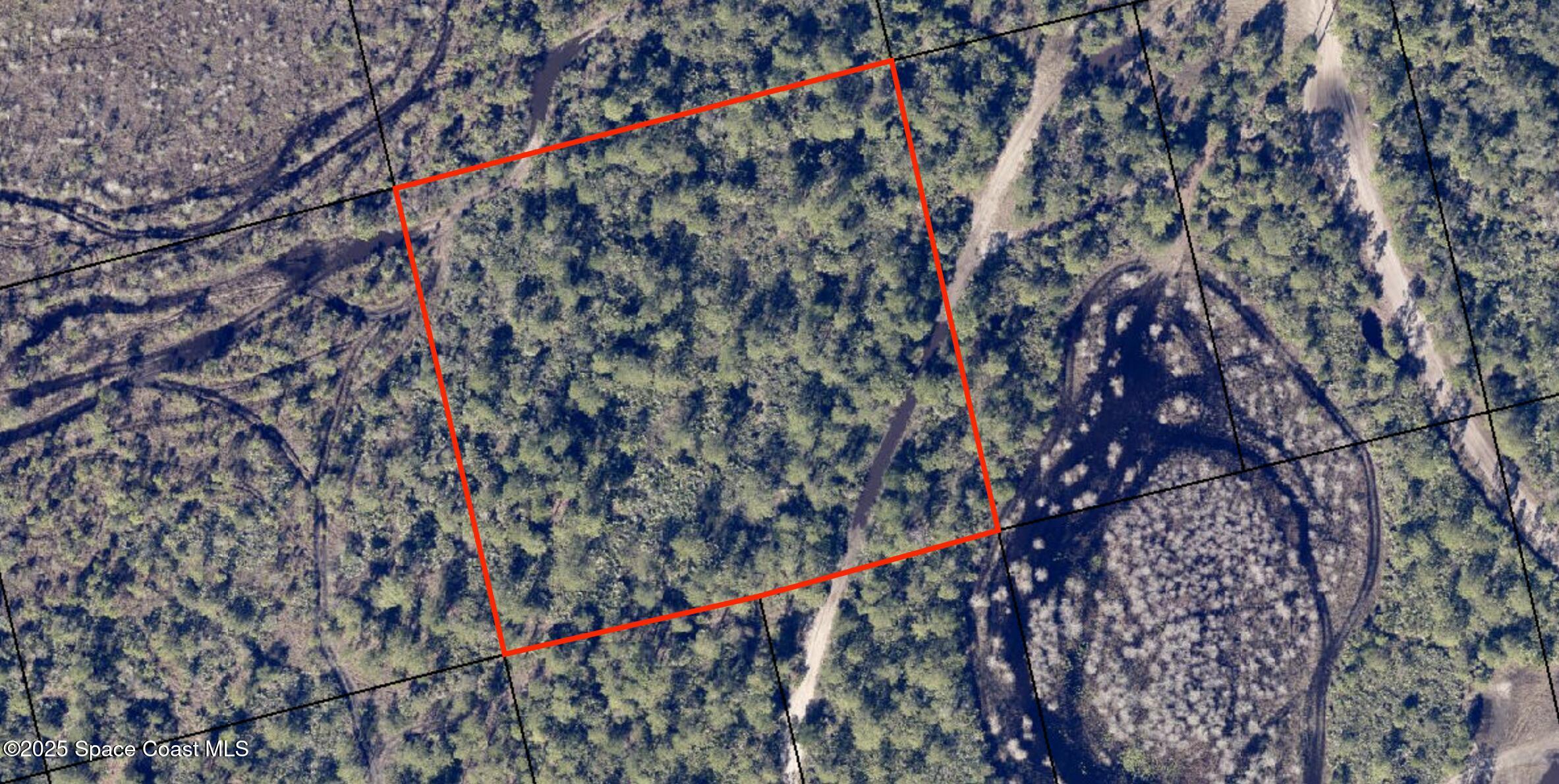 a picture of a tree with a tree