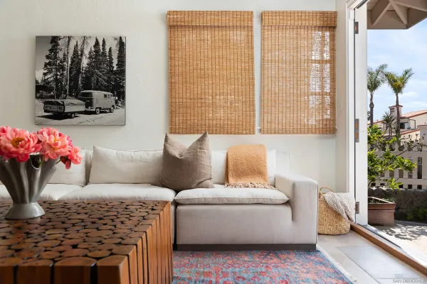 a living room with furniture and a potted plant