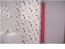 501 Spring Grove Road Stanton, MI 48888 - Photo 7 of 20 Additional Photo