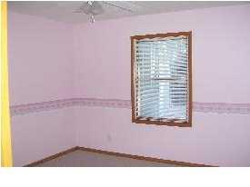 501 Spring Grove Road Stanton, MI 48888 - Photo 9 of 20 Additional Photo