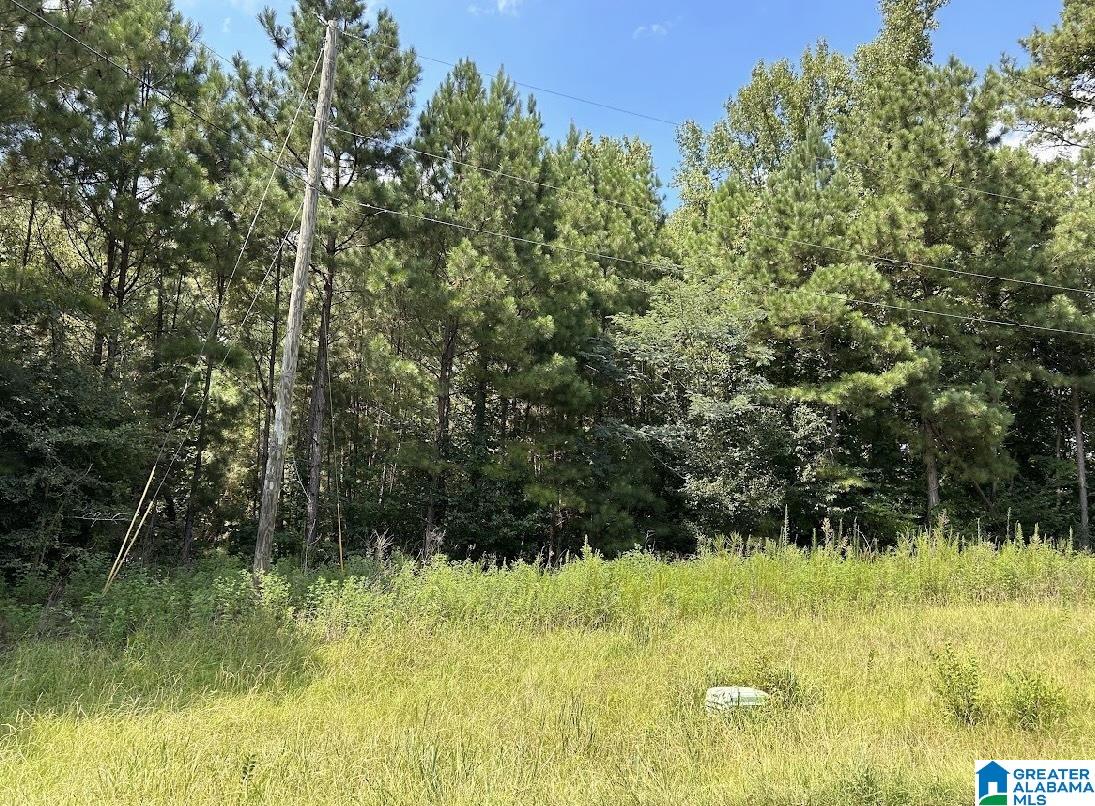 125 A Thatcher Road, Unit 7A1 7A5 Vincent, AL 35178 - Photo 8 of 15 Gallery Image 8