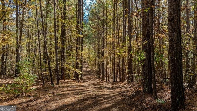 0 Jones Ferry Road, Unit 1 Palmetto, GA 30268 - Photo 1 of 5 a view of backyard with trees