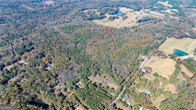 0 Jones Ferry Road, Unit 1 Palmetto, GA 30268 - Photo 2 of 5 a view of a dry yard in a forest