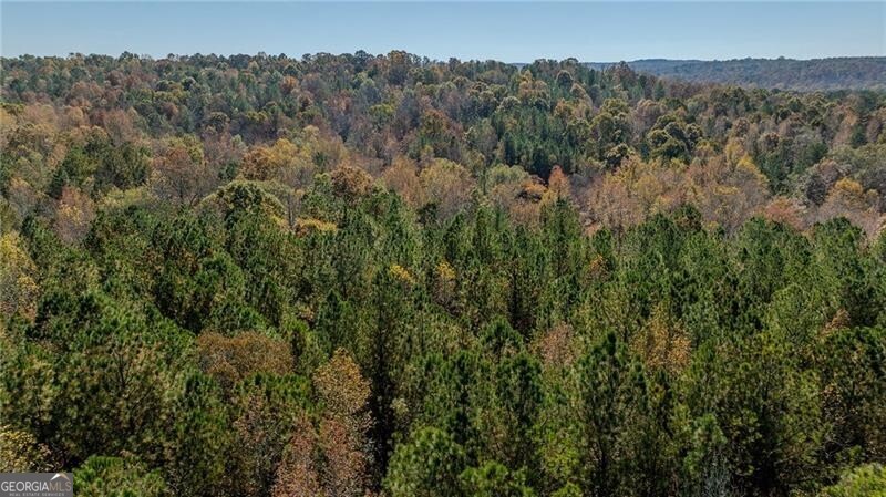 0 Jones Ferry Road, Unit 1 Palmetto, GA 30268 - Photo 3 of 5 a view of a forest with a mountain in the background