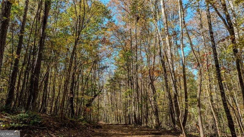 0 Jones Ferry Road, Unit 1 Palmetto, GA 30268 - Photo 5 of 5 a view of house with yard