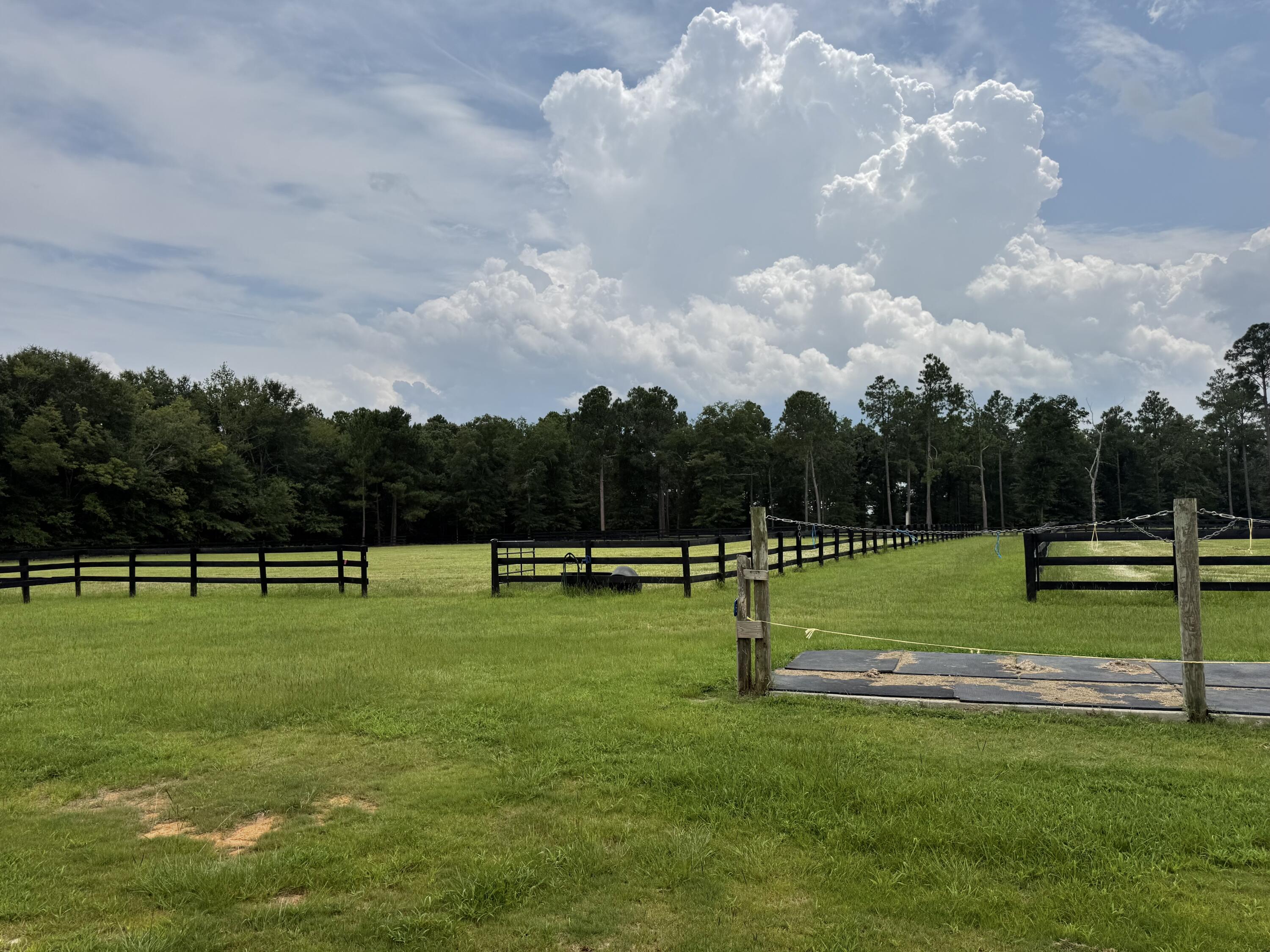 102 Deer Stand Road Wagener, SC 29164 - Photo 18 of 26 Gallery Image 18