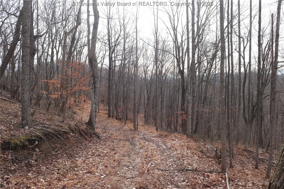 0 Route 12 Road Alum Creek, WV 25003 - Photo 35 of 44 Gallery Image 35