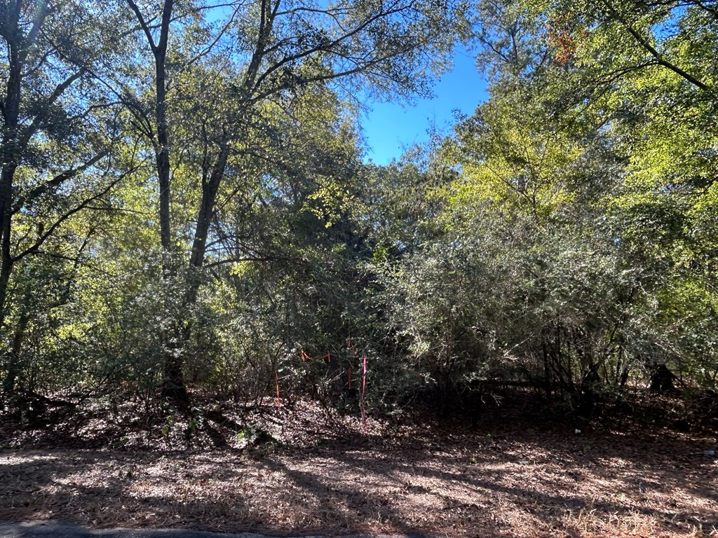 140/ Cty Road Headland, AL 36345 - Photo 10 of 33