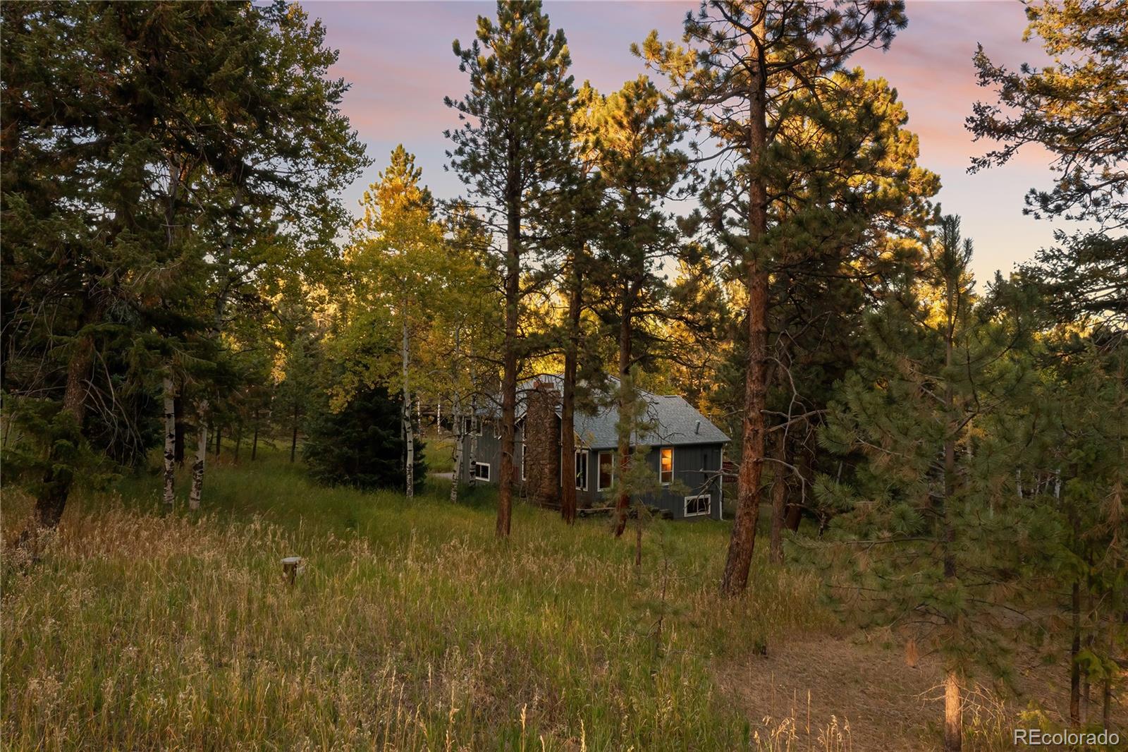 28696 Little Big Horn Drive Evergreen, CO 80439 - Photo 42 of 47 a backyard of a house with lots of green space